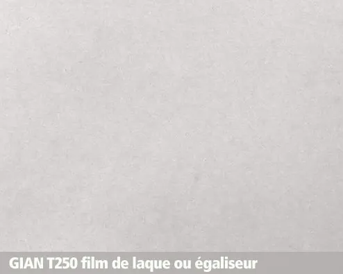 GIAN T250, film de laque, égalisateur, nez de marche, béton, antidérapant, structure, profil, escalier, palier, galerie, balcon, pont, quai